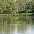 my kakadu np