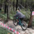 that’s how they do enduro in tassie.
